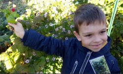 Semaine Du Goût   016